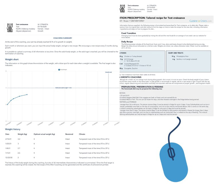 tailored recipe for a kitten